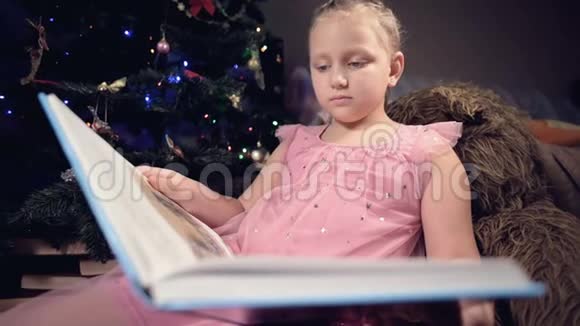 一个身穿节日礼服手里拿着一本书的金发小女孩坐在软玩具旁边背景是一个视频的预览图