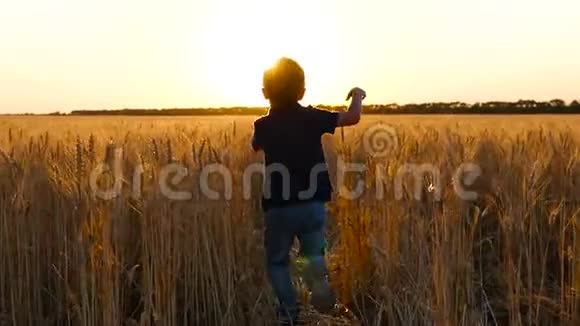 日落时一个孩子跑过一片金色的麦田向太阳跑去视频的预览图