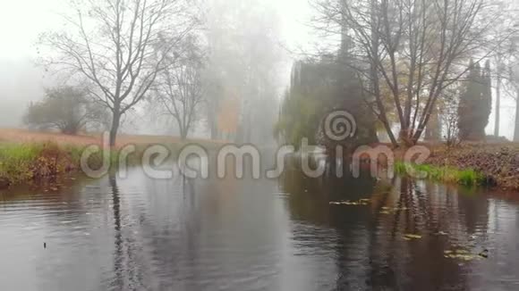 秋天公园里湖面上的雾视频的预览图