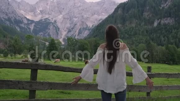 带着奶牛和阿尔卑斯山看乡村景色的女人视频的预览图