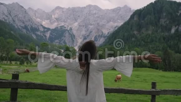 带着阿尔卑斯山和奶牛欣赏乡村风景的女孩视频的预览图