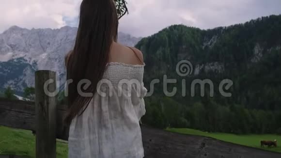 在阿尔卑斯山的乡间安静而愉快的时光视频的预览图
