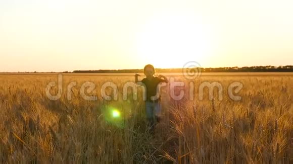 一个金发男孩挤在麦穗中间一个孩子在金色的夕阳下缓慢地跑过麦田快乐视频的预览图