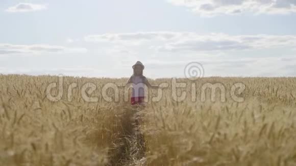 小女孩走在金色的麦田上自由的孩子在麦田里视频的预览图