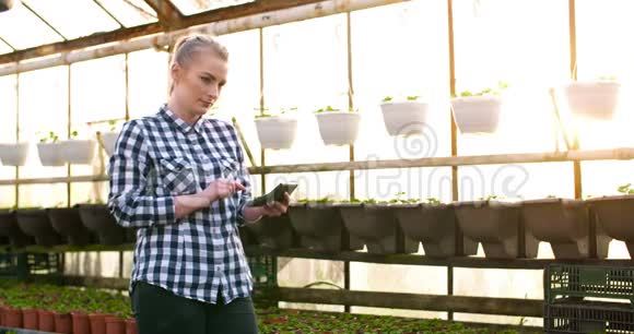 女农场主在温室里用计算器卖花视频的预览图
