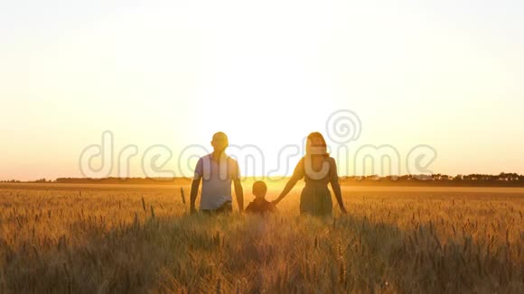 幸福的一家人在日落时牵着手走在麦田上视频的预览图