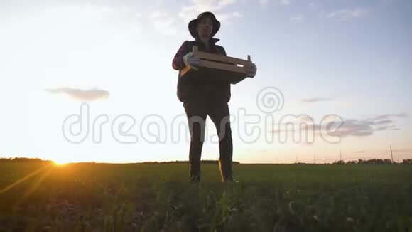日落时分年轻漂亮的女农民戴着帽子在田野里放着新鲜的生态蔬菜概念素食主义视频的预览图