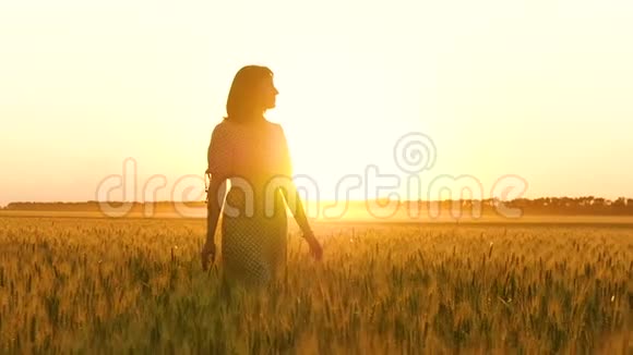 一个穿着连衣裙的女孩走在麦田里抚摸着小麦的小穗在大自然的映衬下享受着大自然视频的预览图