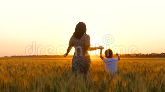 日落时一个女人和一个孩子的剪影一位快乐的母亲牵着儿子手他们跑过麦田视频的预览图