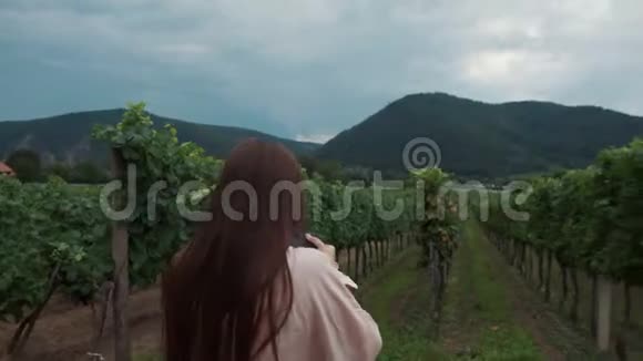 奥地利Wachau山谷葡萄园的女孩视频的预览图