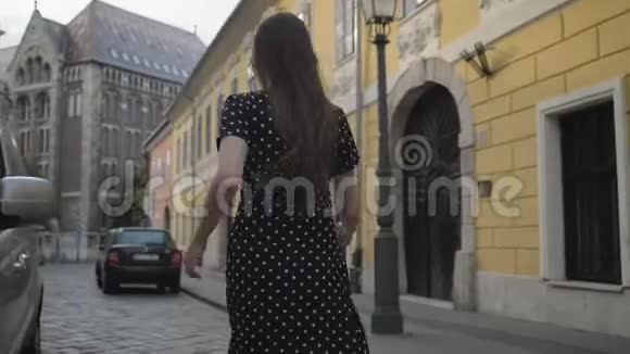 匈牙利首都布达佩斯市中心的假期视频的预览图