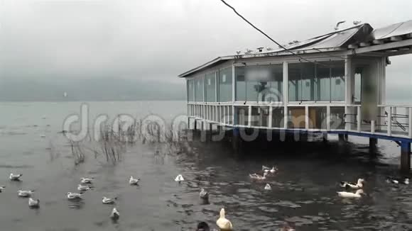 来自土耳其湖的冬季景观视频的预览图