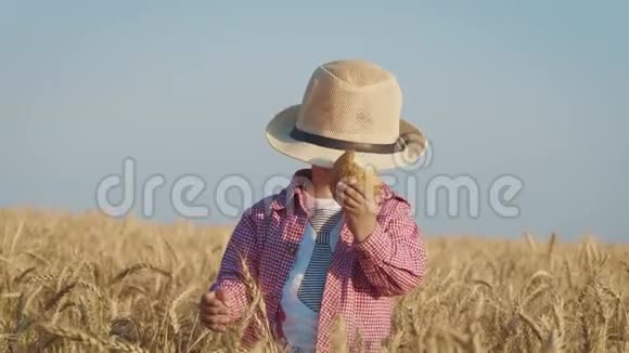 在阳光明媚的夏日戴帽子的可爱男孩在金色的麦田里散步暑期乡村生活度假环境保护视频的预览图