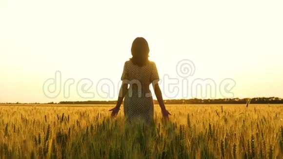 穿着裙子的女孩穿过田野走向夕阳抚摸着她的麦穗视频的预览图