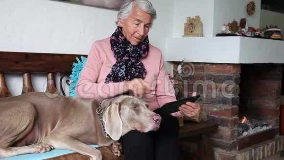 老妇人和她的狗在家里视频聊天与她的家人视频的预览图