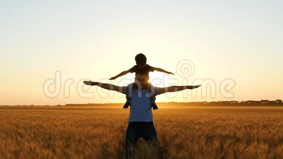 日落时父亲和孩子的剪影男孩举起双手在空中模仿一次美妙的日落飞行视频的预览图