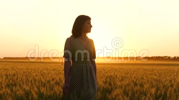 一个穿着连衣裙的漂亮女孩正穿过麦田抚摸着金色的小麦小穗享受着大自然视频的预览图