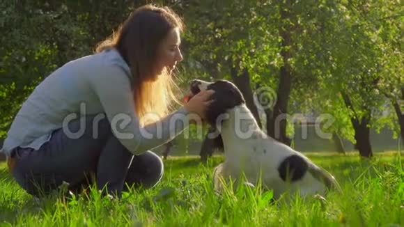 女人正在亲吻和抚摸她的公鸡猎犬视频的预览图