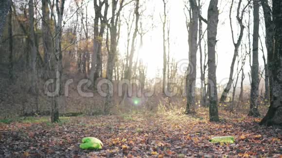 一个美丽的女孩在树木和阳光的背景下清洁塑料的自然清洁室外空间视频的预览图
