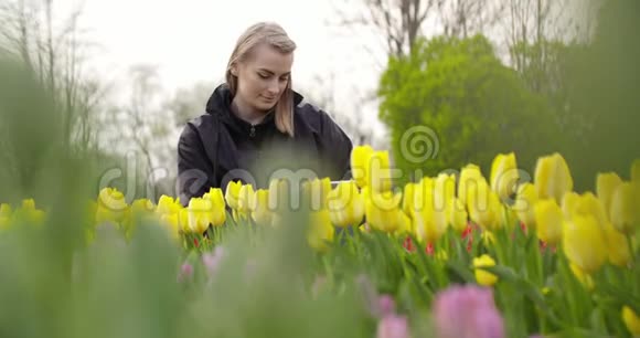 种植花卉的农业技术农民使用平板电脑视频的预览图