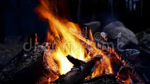 篝火晚会的特写晚上用热余烬和红煤燃烧视频的预览图