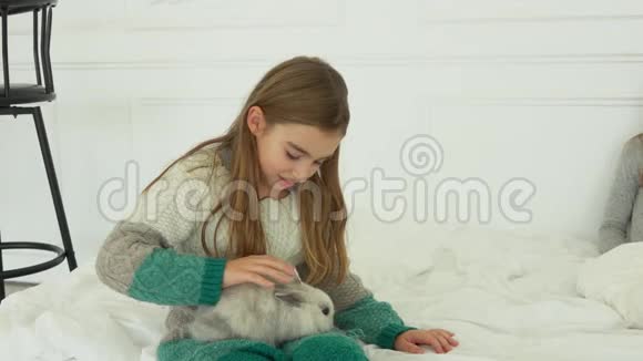 快乐的女孩爱抚一只毛茸茸的灰兔视频的预览图