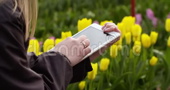 种植花卉的农业技术农民使用平板电脑视频的预览图