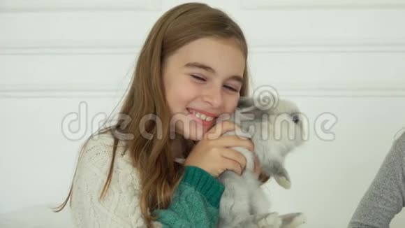 美丽的黑发女孩快乐地拥抱着一只可爱的灰兔视频的预览图