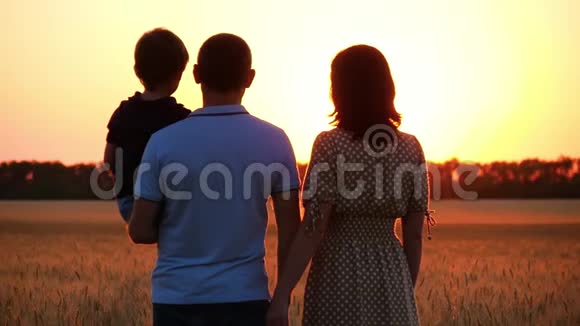 一家人站在麦田里享受日落男人的父亲抱着他的儿子女人的母亲拥抱视频的预览图