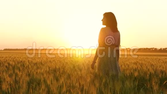 一个穿着裙子的女孩走在麦田里抚摸着小麦的小穗享受着大自然和美丽视频的预览图