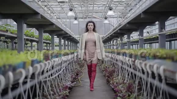 穿着红色大腿高靴沿着温室里的一排植物行走并停止寻找的漂亮的白种人女人视频的预览图