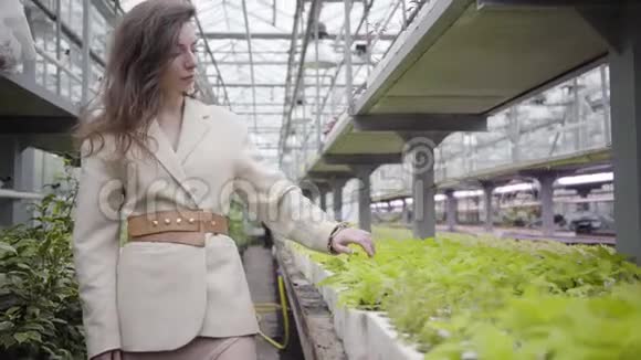 体贴的黑发白种人女人触摸温室里植物的绿叶自然生活方式美丽视频的预览图