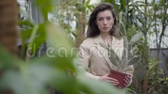 神秘的白种人女人站在绿色植物之间拿着仙人掌锅的肖像优雅的棕色头发视频的预览图