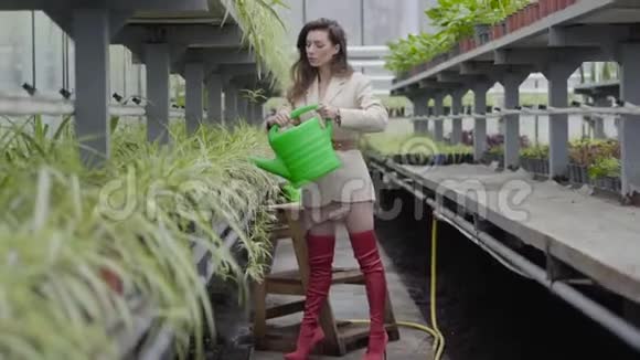 时尚的高加索女人在温室里倒水穿红色大腿高靴米色夹克的优雅女士视频的预览图