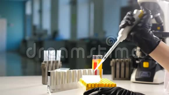实验室测试板女性研究人员在井微板中取样血液或DNA的医学测试试验视频的预览图