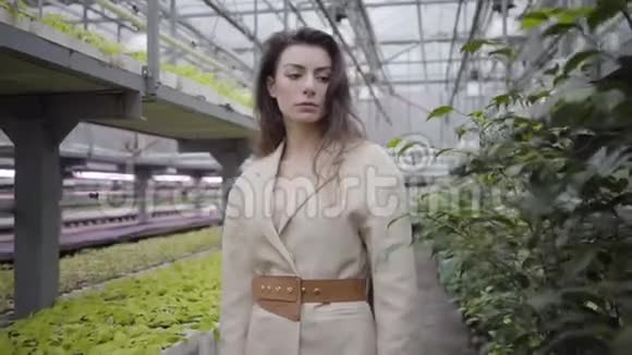 神秘美丽的白种人女人站在温室里的肖像神秘优雅的格拉斯豪斯女士美容视频的预览图