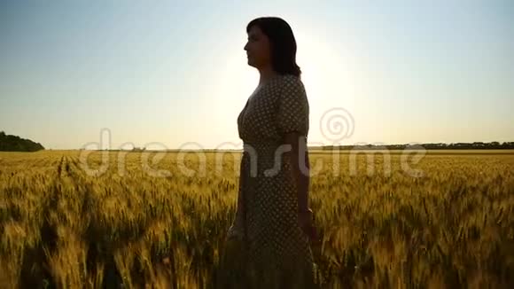 日落时穿裙子的女孩的剪影女孩喜欢大自然走在麦田里摸着麦子视频的预览图