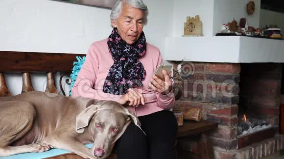 老妇人和她的狗在家里视频聊天与她的家人视频的预览图