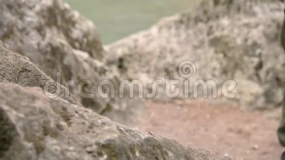 旅行者爬上石头看着美丽的瀑布景色特写视频的预览图
