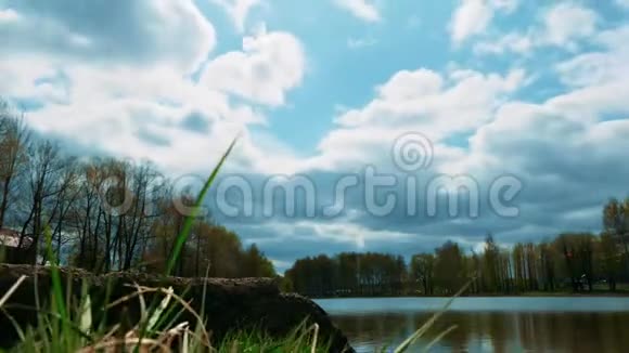 公园里的池塘视频的预览图