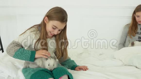 快乐的女孩爱抚一只可爱的灰兔视频的预览图