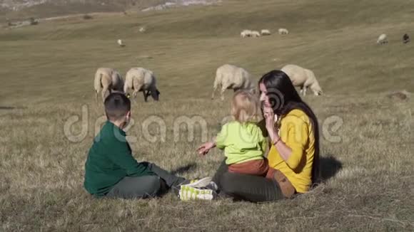 美丽的一家人坐在草坪上看着剪碎的羊视频的预览图