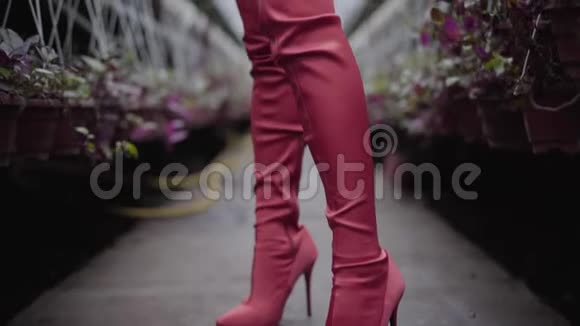可爱的白种人深色的女人穿着优雅的衣服红色的大腿高靴以及摆在玻璃房里的巨大手镯照相机视频的预览图