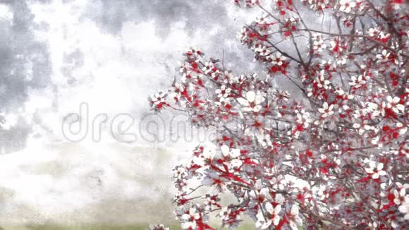 水彩艺术风格的樱花视频的预览图