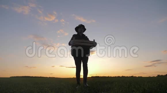 日落时分年轻漂亮的女农民戴着帽子在田野里放着新鲜的生态蔬菜概念素食主义视频的预览图