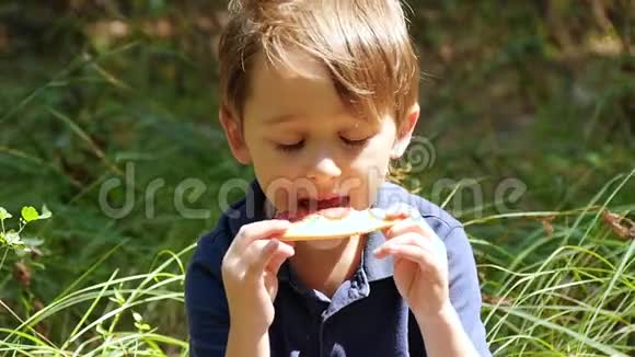 一个男孩在野餐时咬了一片披萨视频的预览图