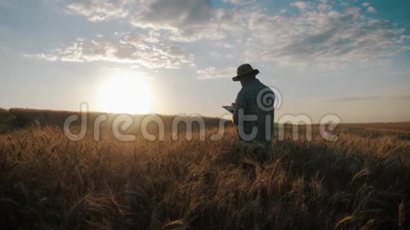 日落时在麦田里工作的年轻农民视频的预览图