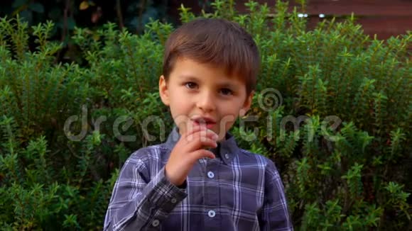 可爱的小男孩吃法国杏仁苹果视频的预览图