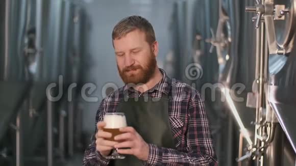 肖像男子啤酒厂站在啤酒厂时检查啤酒罐中新酿啤酒的颜色视频的预览图