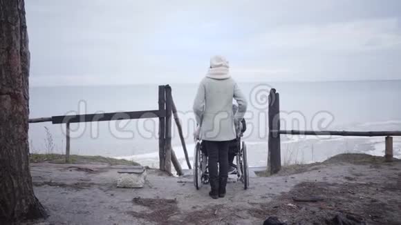 女性无效投标后景与残疾人坐轮椅站在冰冻河岸高加索妇女和视频的预览图